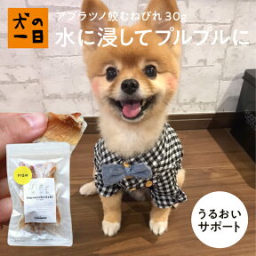 【おやつサンプル付】アブラツノ鮫むねびれ 30g 犬 おやつ 無添加 国産 犬の一日 手作り 犬おやつ 国産無添加 サメ 関節 むなびれ 魚おやつ 魚 おやつ プロテオグリカン コラーゲン カルシウム 魚