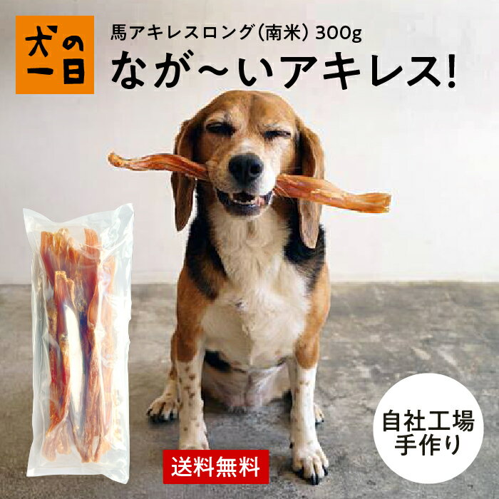 【50円OFFクーポン★マラソン開催中】送料無料 馬アキレスロング 300g 犬 おやつ 無添加 犬の一日 手作り 犬おやつ 出来たて 大型犬 硬い 歯みがきガム 歯みがき 歯磨き デンタルケア ガム