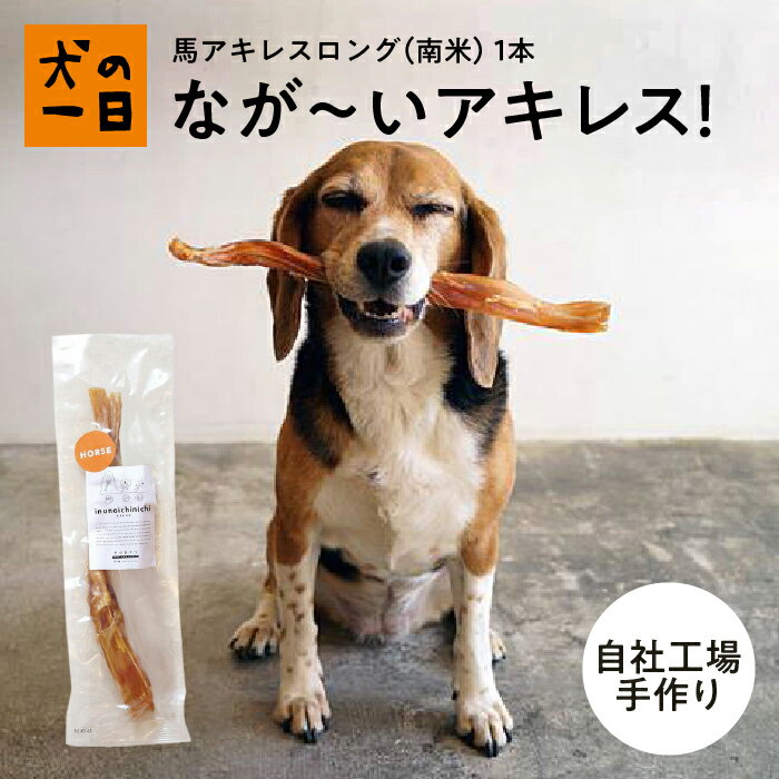 【おやつサンプル付き】★完全無添加 馬アキレスロング 1本 犬 おやつ 無添加 犬の一日 手作り 犬おやつ 長い 硬い ガム 歯みがきガム 馬アキレス アキレス ランキング1位 歯みがきガム【ラン1】