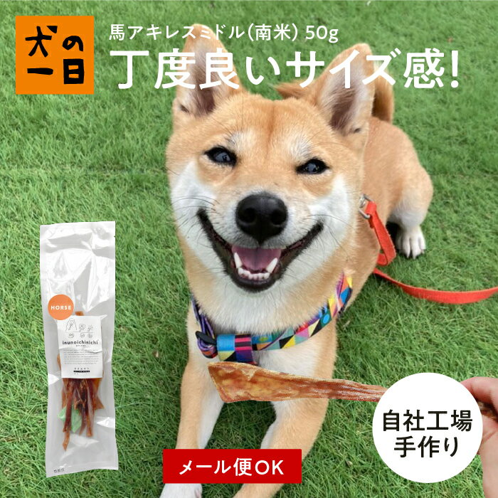 【10%オフ×P2倍ワンダフルデー_6/1日限定】馬アキレスミドル 50g 犬 おやつ 無添加 国産 犬の一日 手作り 犬おやつ …