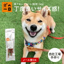 犬 おやつ 無添加 国産 馬アキレスミドル 50g 歯みがき 歯磨き デンタルケア ガム 歯みがきガム 馬アキレス アキレス アレルギー 犬のおやつ 犬用おやつ...