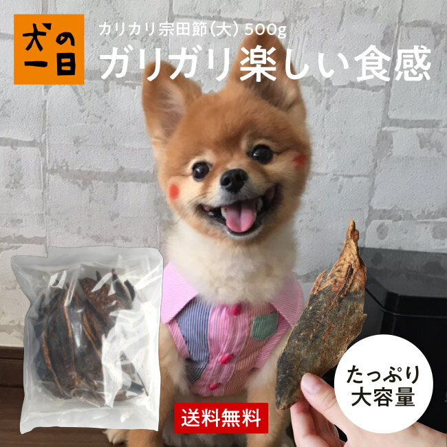 楽天犬の一日【10％オフ×P2倍ワンダフルデー_6/1日限定】送料無料 カリカリ宗田節（大）500g（約10から14本）犬 おやつ 無添加 国産 犬の一日 手作り 犬おやつ 国産無添加 カツオ節 カツオ 節 かつお節 かつお 最高級 魚 猫の一日