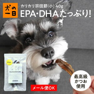 【おやつサンプル付き】カリカリ宗田節（小）40g 犬 おやつ 無添加 国産 犬の一日 手作り 犬おやつ 国産無添加 カツオ節 カツオ 節 かつお節 かつお カツオ 節 かつお節 国産（高知県） 魚 猫の一日