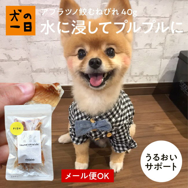 楽天市場 アブラツノ鮫むねびれ40g 犬 おやつ 無添加 国産 犬の一日 手作り 犬おやつ 国産無添加 サメ 関節 むなびれ 魚おやつ 魚 おやつ プロテオグリカン コラーゲン カルシウム 魚 おうち時間 ペット ペット用品 犬の一日 みんなのレビュー 口コミ 楽天市場 アブラツノ鮫むねびれ40g 犬 おやつ 無添加 国産 犬の一日 手作り 犬おやつ 国産無添加 サメ 関節 むなびれ 魚おやつ 魚 おやつ プロテオグリカン コラーゲン カルシウム 魚 おうち時間 ペット ペット用品 犬の一日 みんなのレビュー 口コミ