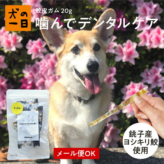 楽天犬の一日【全商品P5倍★マラソン_15日限定】銚子産 鮫皮ガム 20g犬 おやつ 無添加 国産 犬の一日 手作り 犬おやつ 国産無添加 国産（銚子産） 歯みがき 歯磨き サメ さめ 魚