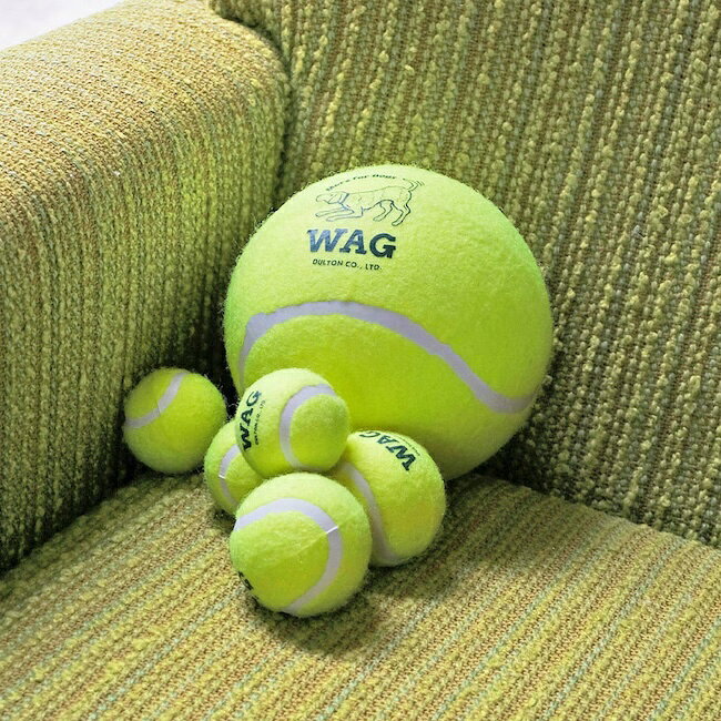 D.WAG テニスボール セット 3pcs TENNIS BALL SET OF 3　Mサイズ 3mm厚の天然ゴム...