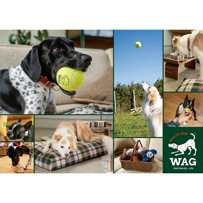 D.WAG テニスボール セット 3pcs TENNIS BALL SET OF 3　Mサイズ 3mm厚の天然ゴム...