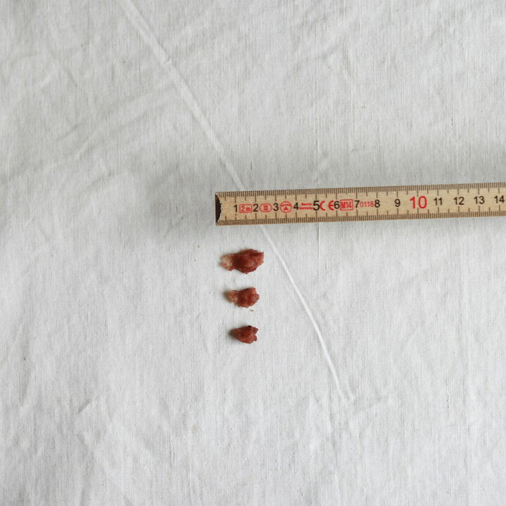 �� ����� ̵ź�� �� �ҥ��������ܤȤ��������� 20g �ȥ졼�˥� �ӱ� ���� ����륮�� ���Τ���� ���Ѥ���� ̵�忧 �ѥԡ� ���˥� �Ҹ� ���� Ϸ�� ������ �緿�� �ڥå� ���ΰ��� inunoichinichi