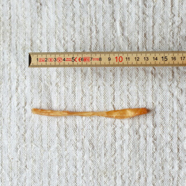 �� ����� ̵ź�� �� �ϥ����쥹���硼�� 30g�������������ʤ�ޤ����� ���˥��� Ϸ�� ���˥��� ���ߤ��� ���᤭ �ǥ󥿥륱�� ���� ���ߤ������� ����륮�� ���Τ���� ���Ѥ���� ̵�忧 �ѥԡ� ���˥� �Ҹ� ���� Ϸ�� ������ �緿�� �ڥå� ���ΰ��� inunoichinichi