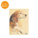 coricciさんのペットポートレートポストカードサイズ/オーダー品 似顔絵 絵 ペット 似顔絵 ギフト プレゼント