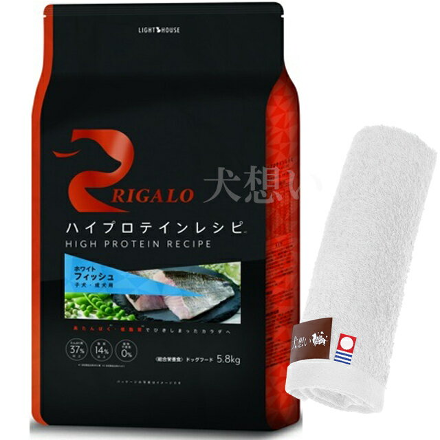 ̵ۥꥬ ϥץƥ쥷 Ҹ եå 5.8kgڸۤꥸʥ뺣ϥɥץ쥼ȡۡڥ륫顼 ...