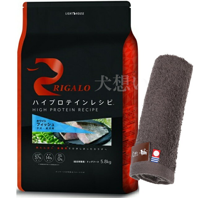 ̵ۥꥬ ϥץƥ쥷 Ҹ եå 5.8kgڸۤꥸʥ뺣ϥɥץ쥼ȡۡڥ륫顼 ...
