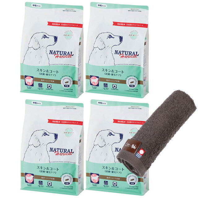̵ۥʥϡ٥  桦ӥ 1.1kg 4ޡںϥɥץ쥼ȡۡڥ륫顼 ⥫