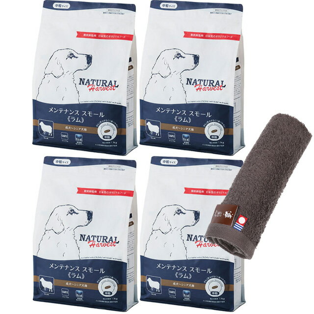 ̵ۥʥϡ٥ ƥʥ󥹥⡼  1.1kg 4ޡںϥɥץ쥼ȡۡڥ륫顼 ⥫