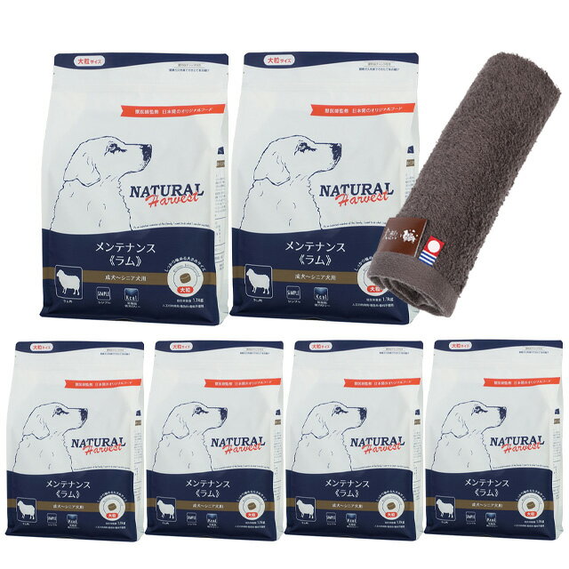 ̵ۥʥϡ٥ ƥʥ  1.1kg γ 6ޡںϥɥץ쥼ȡۡڥ륫顼 ⥫