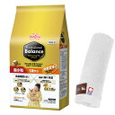 【送料無料】プロフェッショナル バランス 超小粒 1歳から 体重管理用 2.4kg 【犬想いオリジナル今治ハンドタオルセット】【タオルカラー ホワイト】