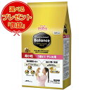 【送料無料】プロフェッショナル バランス 超小粒 1歳まで 子いぬ用 2.4kg 【缶詰おまけ付】