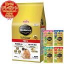 【送料無料】プロフェッショナル バランス 7歳から 3kg 【プロバラパウチ・おまけ付】