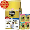 【送料無料】プロフェッショナル バランス 超小粒 1歳から 2.4kg 【プロバラパウチ・おまけ付】