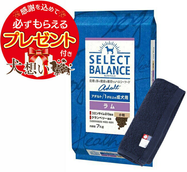 【プレゼント付】【あす楽】【送料無料】セレクトバランス アダルト ラム 小粒 1才以上の成犬用 7kg【犬想いオリジナル今治ハンドタオルセット】【タオルカラー ネイビー】【正規品】