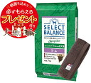 【プレゼント付】【送料無料】セレクトバランス エイジングケア ラム 小粒 7才以上の成犬用 7kg【犬想いオリジナル今治ハンドタオルセット】【タオルカラー モカ...