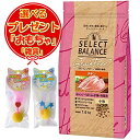 【送料無料】セレクトバランス グレインフリー 猫キトン チキン 小粒 子猫・母猫用 1.6kg 選べる【ゆらころカシャりん・おまけ付】