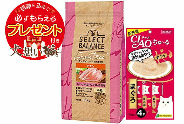 【プレゼント付】【送料無料】セレクトバランス グレインフリー 猫キトン チキン 小粒　子猫・母猫用 1.6kg【ちゅーる付】