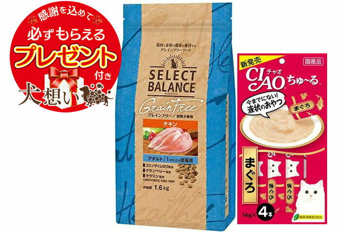 【プレゼント付】【送料無料】セレクトバランス グレインフリー 猫アダルト チキン 1才以上の成猫用 1.6kg【ちゅーる付】
