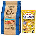 【送料無料】セレクトバランス グレインフリー アダルトサーモン 小粒 2.4kg【犬想いオリジナルチュール付セット】