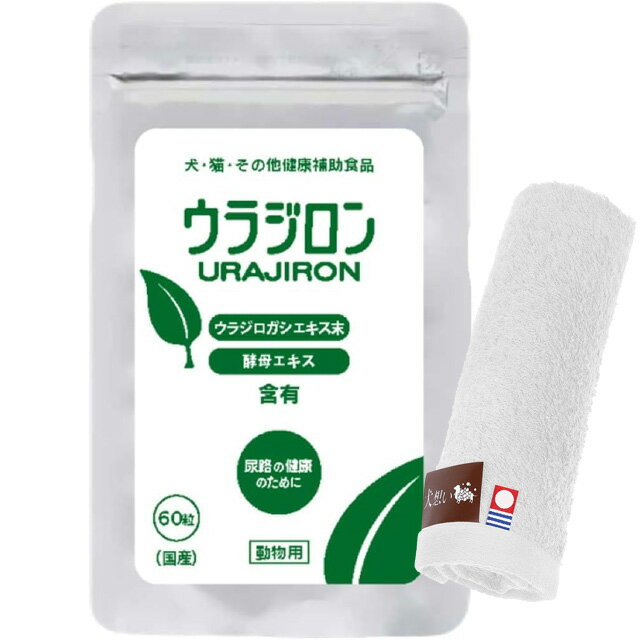 ̵ۥ饸 8.4g 140mg60γ ںϥɥץ쥼ȡۡڥ륫顼 ۥ磻ȡ