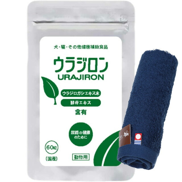 ̵ۥ饸 8.4g 140mg60γ ںϥɥץ쥼ȡۡڥ륫顼 ͥӡ