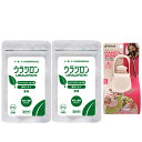 【送料無料】ウラジロン 8.4g 140mg×60粒 2個セット【お散歩ハンディシャワープレゼント】【Sサイズ アイボリー】