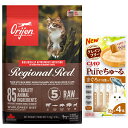 【送料無料】【正規品】オリジン レジオナルレッド キャット 5.4kg 【プレゼント ちゅーる付】
