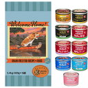 【送料無料】ウェルカムホーム グレインフリー フィッシュレシピ 2.4kg【犬想いオリジナルセット】【デビフ150g缶詰 1缶プレゼント】
