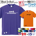 【送料無料】 フラッティ 愛犬ロゴ ドライTシャツ シルエット オリジナル ドッグ ウェア 愛犬 名入れ Tシャツ ギフト ペット ティーシャツ 服 犬 プレゼ...