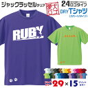 【送料無料】 ジャックラッセル 愛犬ロゴ ドライTシャツ シルエット オリジナル ドッグ ウェア 愛犬 名入れ Tシャツ ギフト ペット 服 犬 プレゼント いぬ イヌスキ 半袖 スポーツ 飼主 オーダー デザイン ロゴ キッズ メンズ 小型犬 ジャックラッセルテリア