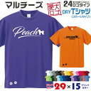 【送料無料】 マルチーズ 愛犬ロゴ ドライTシャツ シルエット オリジナル ドッグ ウェア 愛犬 名入れ Tシャツ ギフト ペット 服 犬 プレゼント いぬ イヌスキ 半袖 スポーツ 飼主 オーダー デザイン ロゴ キッズ メンズ 小型犬