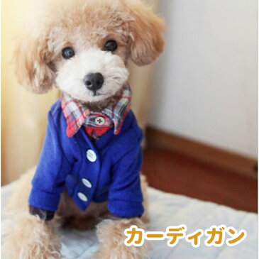 【 SS半額 】 ( 在庫限り ) 犬 服 カーディガン セーター ニット 【 小型犬 】 秋 cheepet ブランドセール ペット 洋服 おしゃれ