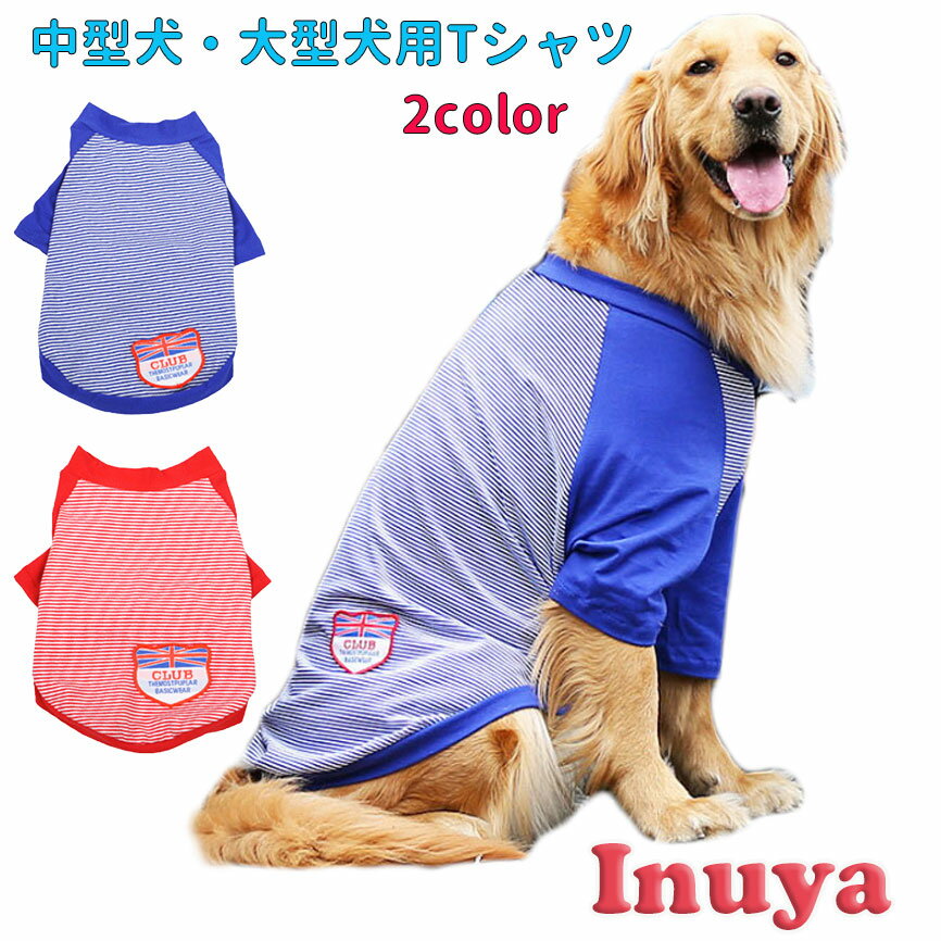 春夏に最適な超大型犬用！おしゃれでかわいい犬用の服のおすすめを教えて！