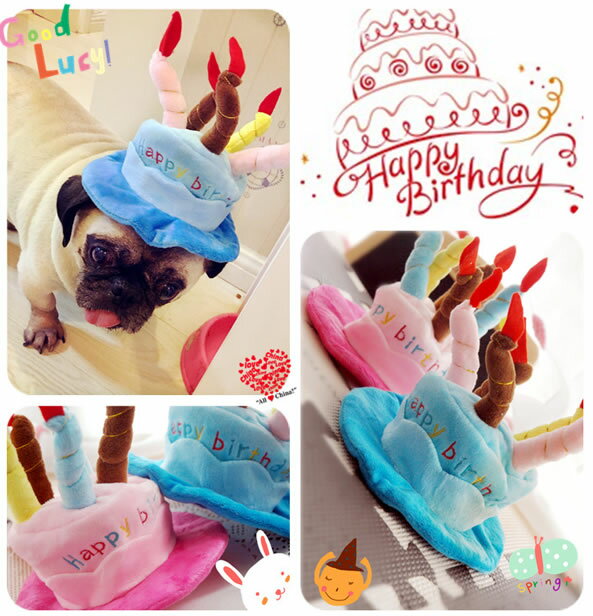 犬 誕生日 ハッピー バースデー キャップ かぶりもの （お誕生日 猫 帽子 パーティー コスプレ 小型犬 パーティー ケーキ） ハロウィン グッズ 犬屋