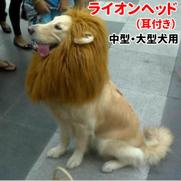 犬 ライオン ウィッグ キャップ カ