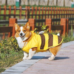 【 犬 レインコート みつばち 】 中型犬 コスチューム はち 蜂 コスプレ 春 夏秋冬用 簡単雨具 カッパ ハロウィン ハチ 【 柴犬 コーギー フレンチブルドッグ フレブル ボーダーコリー ラブラドール 】 asonpet 犬服 誕生日プレゼント ペット