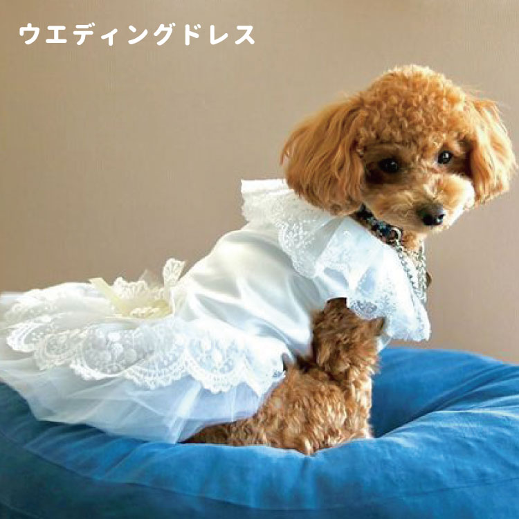 【あす楽】 犬服 【刺繍 ウェディングドレス】 S～XL 小型犬 レース ホワイト リボン 豪華 ペット トイプードル ダックス シュナ 洋服 おしゃれ 結婚式 犬の服 ペット