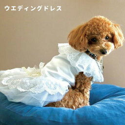 【 あす楽 】 犬服 【 刺繍 ウェディングドレス 】 S～XL 小型犬 レース ホワイト リボン 豪華 ペット トイプードル ダックス シュナ 洋服 おしゃれ 結婚式 犬の服 ペット