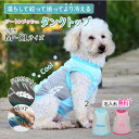 犬服 名入れ 冷感 メッシュ クール タンクトップ 小型犬用 ツートンカラー (犬 夏服 涼しい 水に濡らして ひんやり 瞬間冷却 接触冷感 冷たい 反射材 安心 お散歩用 名前入れ グッズ プリント スポーツ 犬の服 ペット)