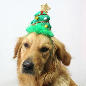 ( アウトレット )【 クリスマスツリーヘアバンド 】 犬用 猫用 カチューシャ ヘアバンド 男の子 女の子 キャップ 帽子 クリスマス パーティー 変身 かぶりもの おもしろグッズ ヘアアクセサリー 記念撮影 SNS カツラ かつら 父の日 母の日 犬屋 新商品