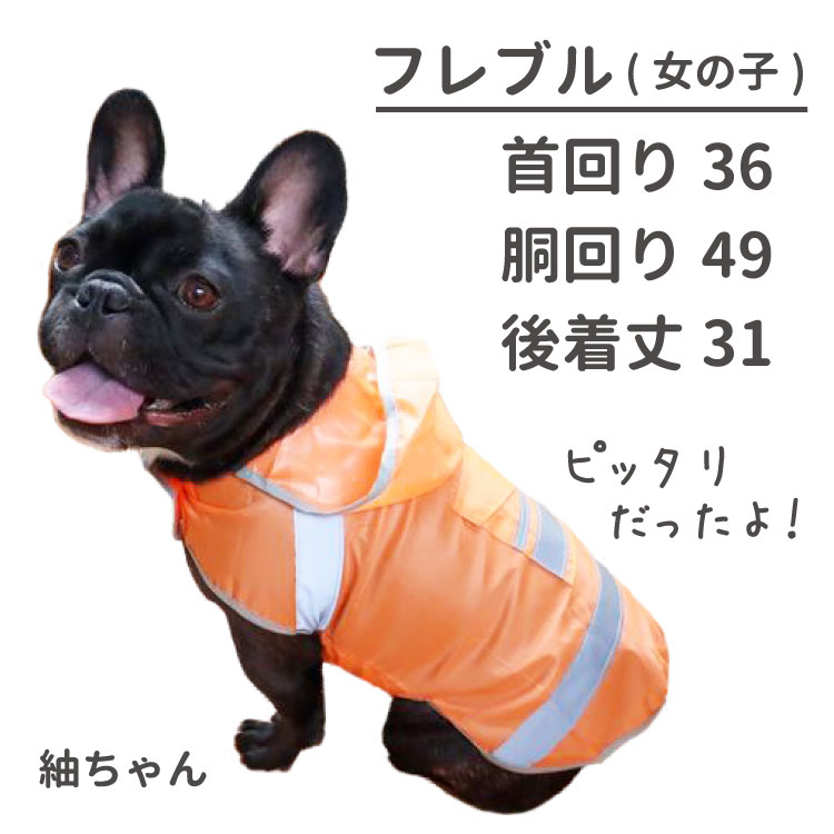 アウトレット 犬屋オリジナル 軽量レインコート 犬 軽量 中型犬 大型犬 防水 雨具 カッパ ペット 【 柴犬 フレンチブルなど 】