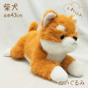 柴犬 ふわふわ ぬいぐるみ 犬 くたくた おもちゃ 茶 白 雑貨 グッズ 卒業祝 入学祝 こどもの日 母の日 父の日 お誕生日 ギフト お祝い ハロウィン