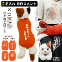 【 無料 名入れ 】 ぬいぐるみ 三毛猫 猫服着用 クリスマス 大人気 プレゼント リアルな重たさ 背中に名前が入る 特別な 猫ぬいぐるみ 雑貨 グッズ 一人暮らし おばあちゃん 猫好き お子様の親友に(4)