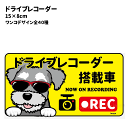 ドライブレコーダー 犬 ドッグ マグネット 15cm 長方形...